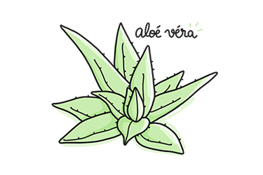 aloevera.png